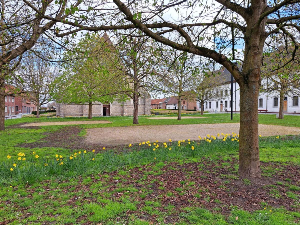 Begijnhof 54 Villa Sint-Truiden Eksteriør billede
